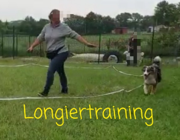 Longier-Training